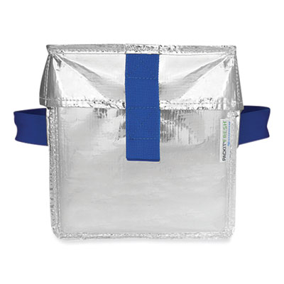 Fresh Eco Freeze Ice Cream Tote, 8.5 x 8 x 9, Silver/Blue, 6/Carton